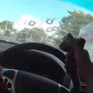 cop shoots through windshield
