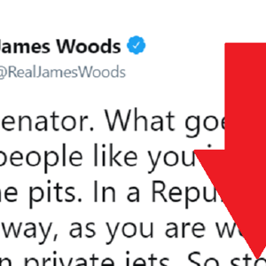 James Woods Chuck Schumer