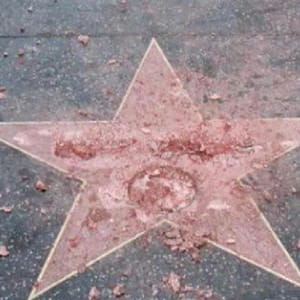 trump hollywood star vandal