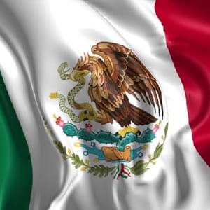 fine Mexico for illegals
