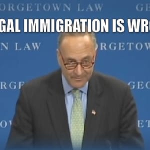 trump schumer illegal immigration video