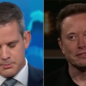 X CEO Elon Musk shared a meme with false information about Iran and an irate Adam Kinzinger called him out for 'loving' the rogue nation and demanded his military contractor credentials be revoked.