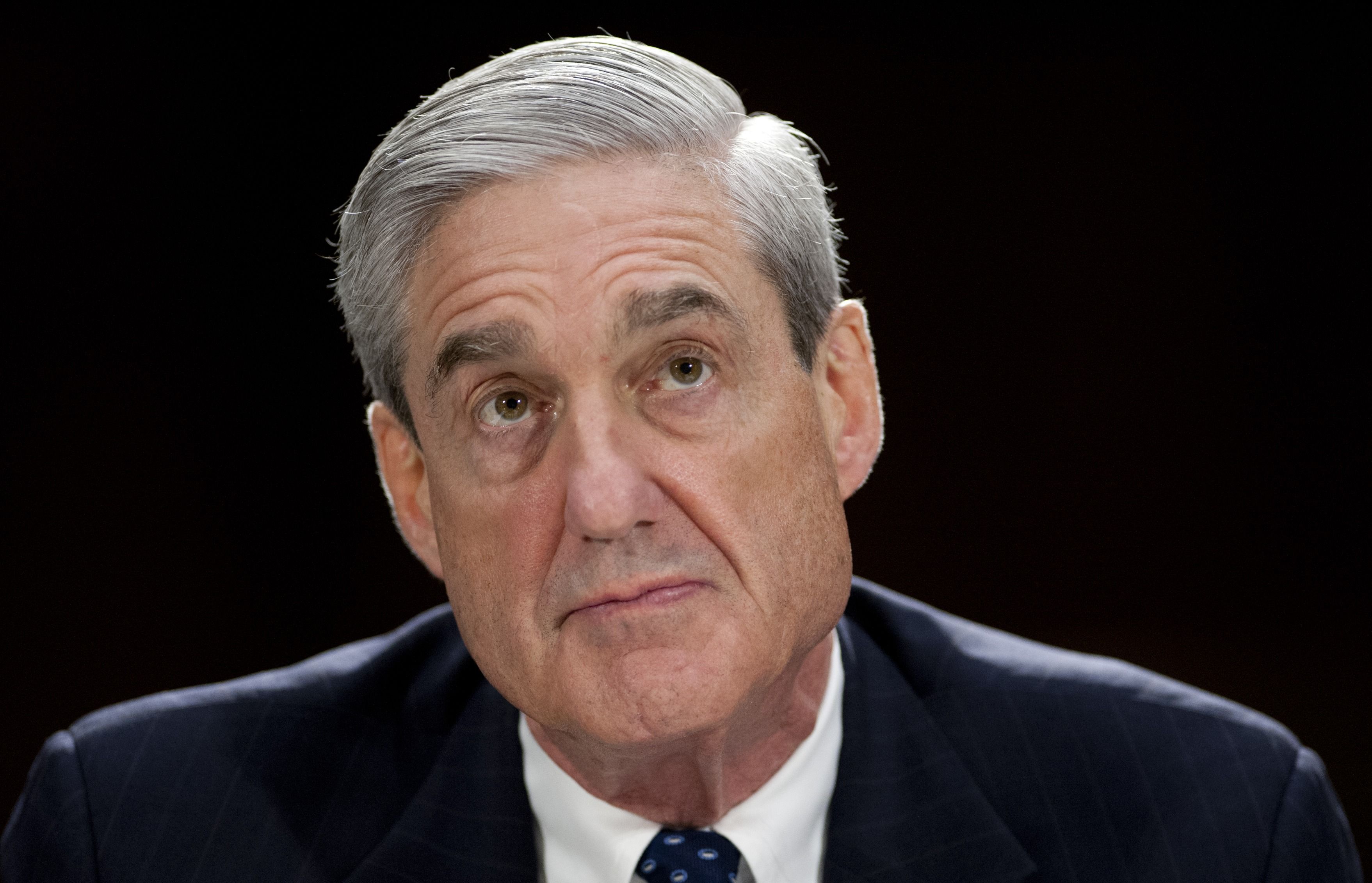 mark meadows mueller