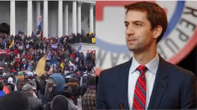 tom cotton riots