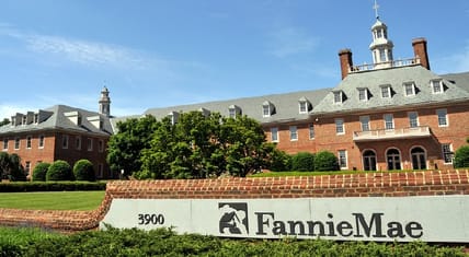 Fannie and Freddie bailout