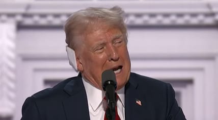 trump assassination attempt