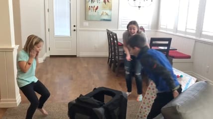 viral dog christmas