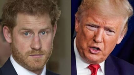 Prince Harry Trump