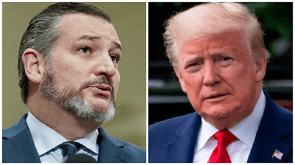 cruz bloodbath
