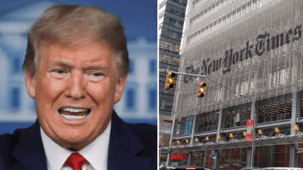 new york times first amendment