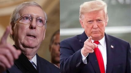 georgia senate losses