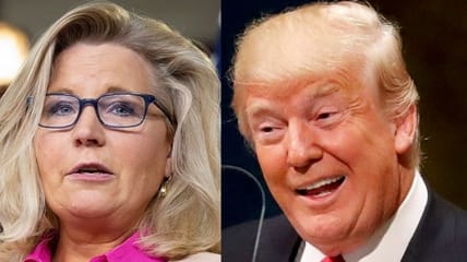Liz Cheney Trump
