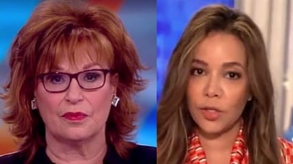 Joy Behar Hostin