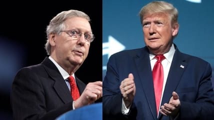 Trump Will Not Endorse RINOS