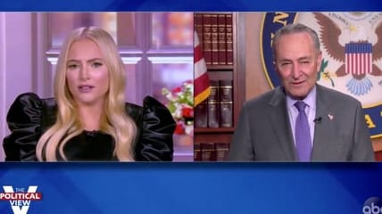 Meghan McCain Schumer