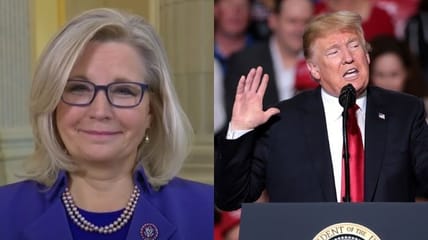 trump liz cheney