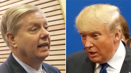 lindsey graham getting erased