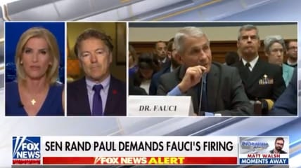 fauci rand paul