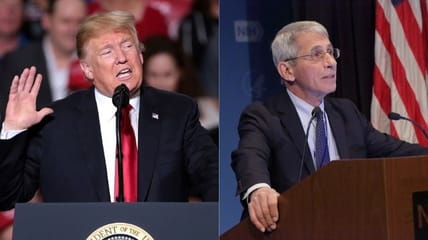 donald trump fauci emails