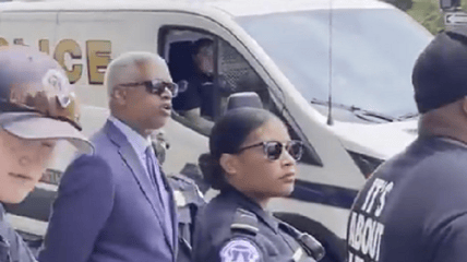 Democrat Representative Hank Johnson was arrested by Capitol police Thursday during a protest to pressure Congress in eliminating the filibuster and allowing nationalization of elections.