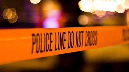 murder rate