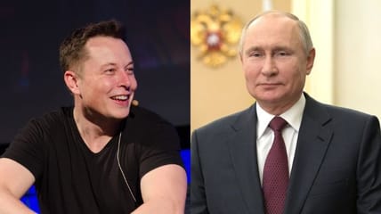 musk putin single combat