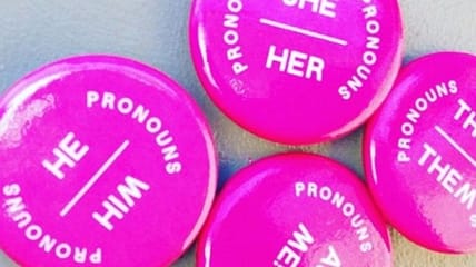 teacher sues pronouns