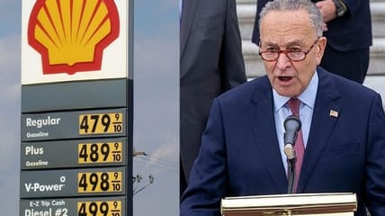 democrats electric cars