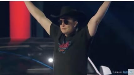 elon musk twitter