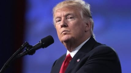 steele dossier carter page