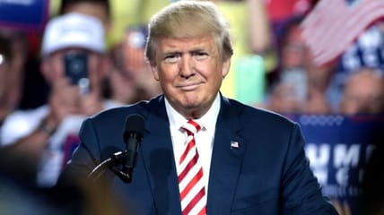 trump 12 page letter