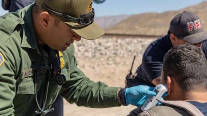 illegal immigration may