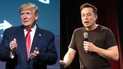 trump elon musk bullshit artist