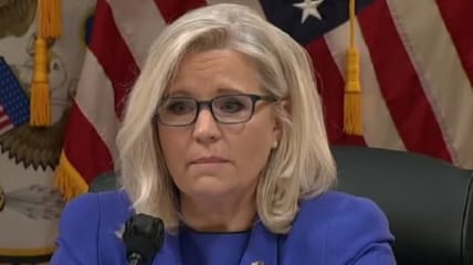Kevin McCarthy suggests Representative Liz Cheney's projected defeat in her GOP primary for Wyoming’s at-large House seat Tuesday will be a "referendum" on the January 6 committee she serves as Vice Chair.