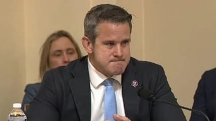 While condemning fellow Republicans of "lies and deceit" during his farewell speech Thursday, Adam Kinzinger falsely claimed he lost his job because he insisted on "standing up for truth."