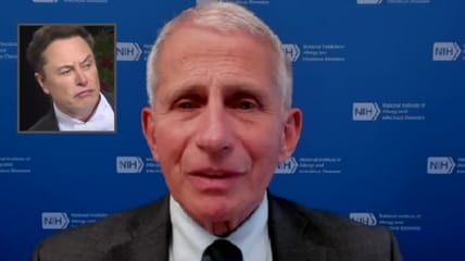 Elon Musk once again blasted Anthony Fauci, calling him "creepy" after a New York Times column described his office as being plastered with portraits painted by fans of himself.