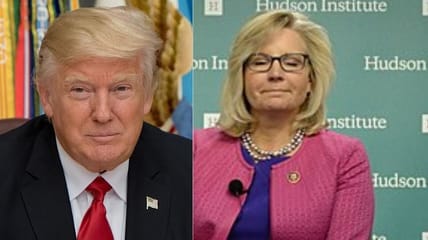 liz cheney trump ad