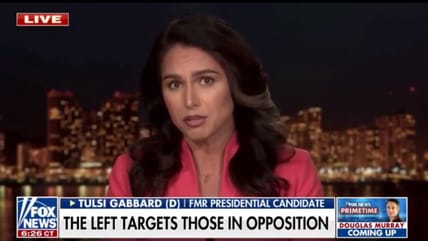 Tulsi Gabbard Warns Of ‘Powerful Elite’ Who Want ‘To Silence And Control Us’: ‘Bigger Than Democrats V. Republicans’