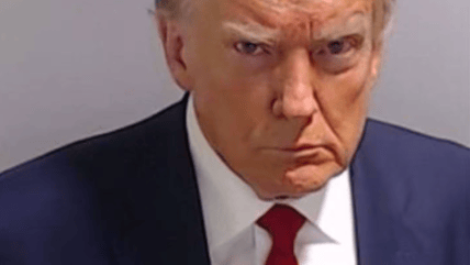 trump mugshot wrapping paper