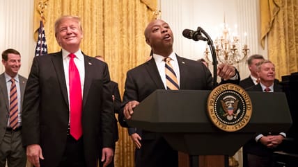 tim scott trump