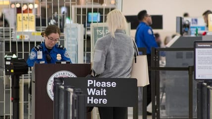 illegal aliens tsa