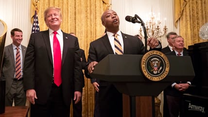 Donald Trump Teases Tim Scott As Running Mate