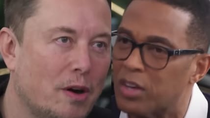 Elon Musk rips Don Lemon as a 'stupid son of a bitch' after biased interview