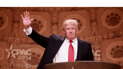 trump coalition