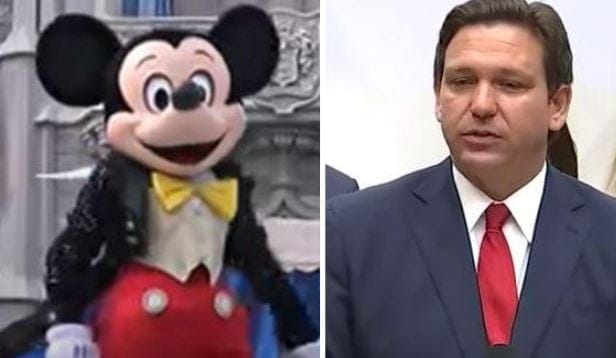DeSantis Disney special tax status