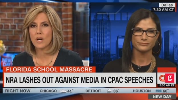cnn Dana Loesch