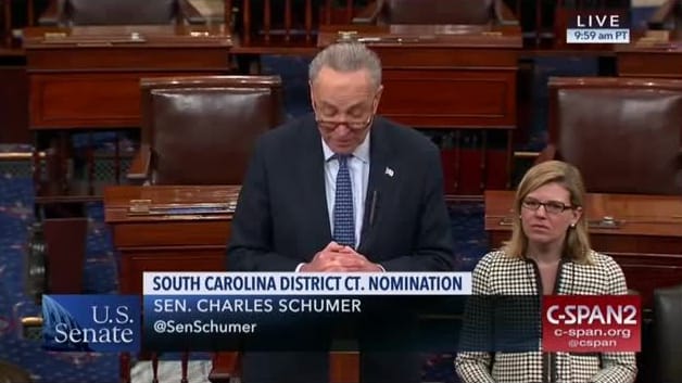 schumer nominee white