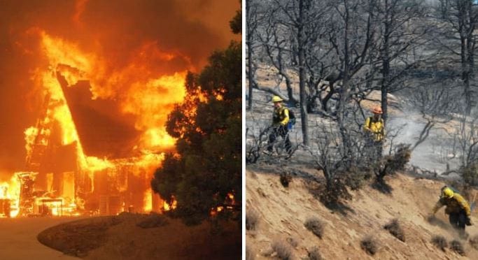 California wildfires Kamala Harris