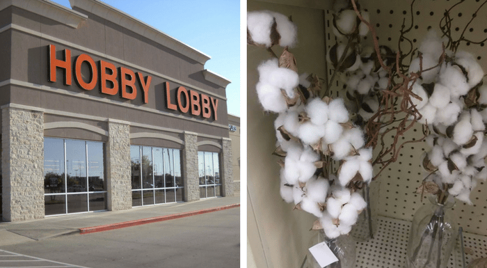 hobby lobby cotton