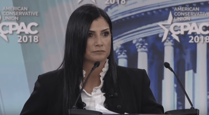 Dana Loesch threatened
